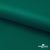 Ткань подкладочная Таффета, 19-5420, 53 г/м2, антистатик, шир. 150 см, вечнозеленый - купить в Балаково. Цена 57.16 руб.