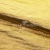 Текстильный материал "Диско"#1805 с покрытием РЕТ, 40гр/м2, 100% полиэстер, цв.5-золото - купить в Балаково. Цена 412.36 руб.