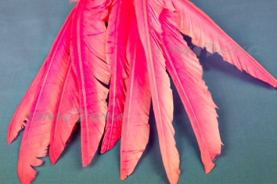 Декоративный Пучок из перьев, перо 25см/розовый - купить в Балаково. Цена: 14.40 руб.