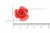 Украшение "Розы малые №1" 20мм - купить в Балаково. Цена: 32.49 руб.