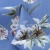 Плательная ткань "Фламенко" 12.1, 80 гр/м2, шир.150 см, принт растительный - купить в Балаково. Цена 243.96 руб.