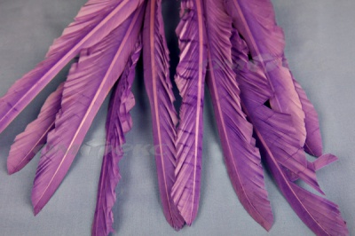 Декоративный Пучок из перьев, перо 25см/фиолетовый - купить в Балаково. Цена: 12.19 руб.