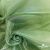 Ткань органза, 100% полиэстр, 28г/м2, шир. 150 см, цв. #27 зеленый - купить в Балаково. Цена 86.24 руб.