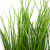 Трава искусственная -4, шт  (осока 50 см/8 см  7 листов)				 - купить в Балаково. Цена: 130.73 руб.