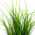 Трава искусственная -3, шт (осока 50 см/8 см  5 листов)				 - купить в Балаково. Цена: 124.17 руб.
